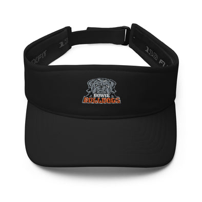 Bowie One Visor